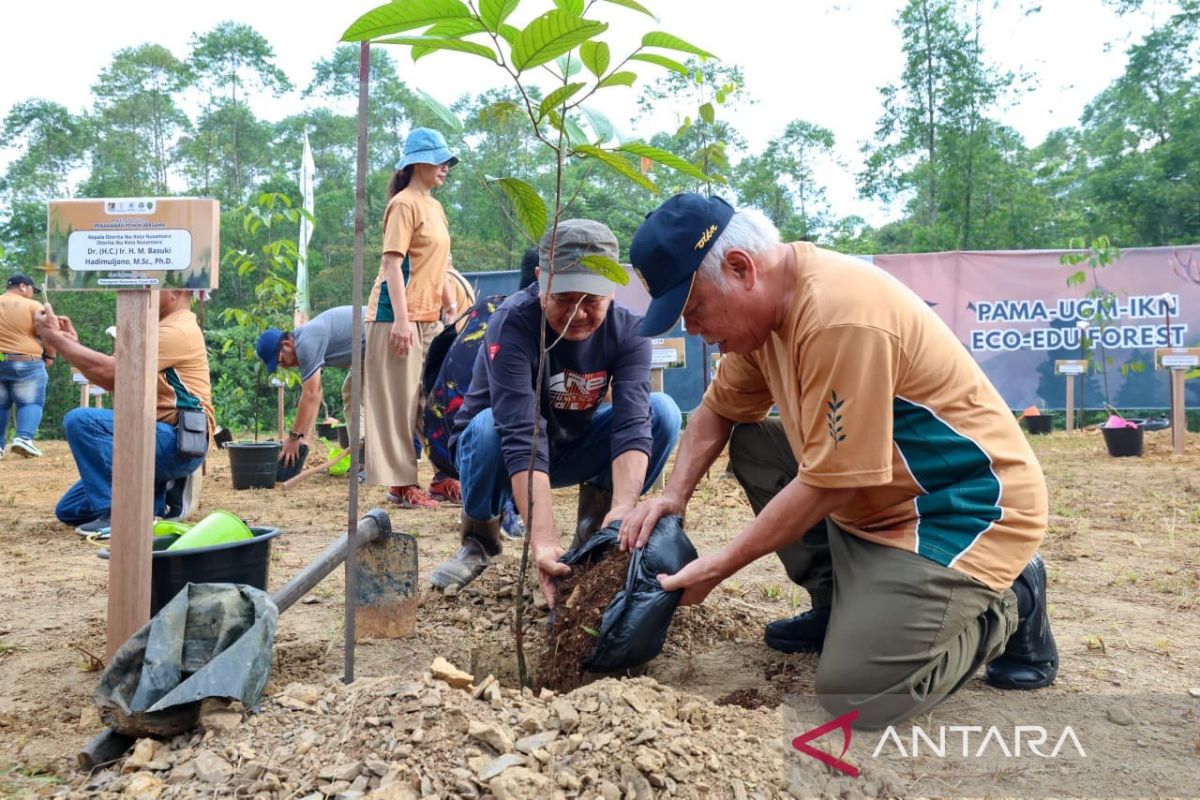 Otorita IKN bersama UGM dan Pamapersada lakukan kegiatan penanamam pohon